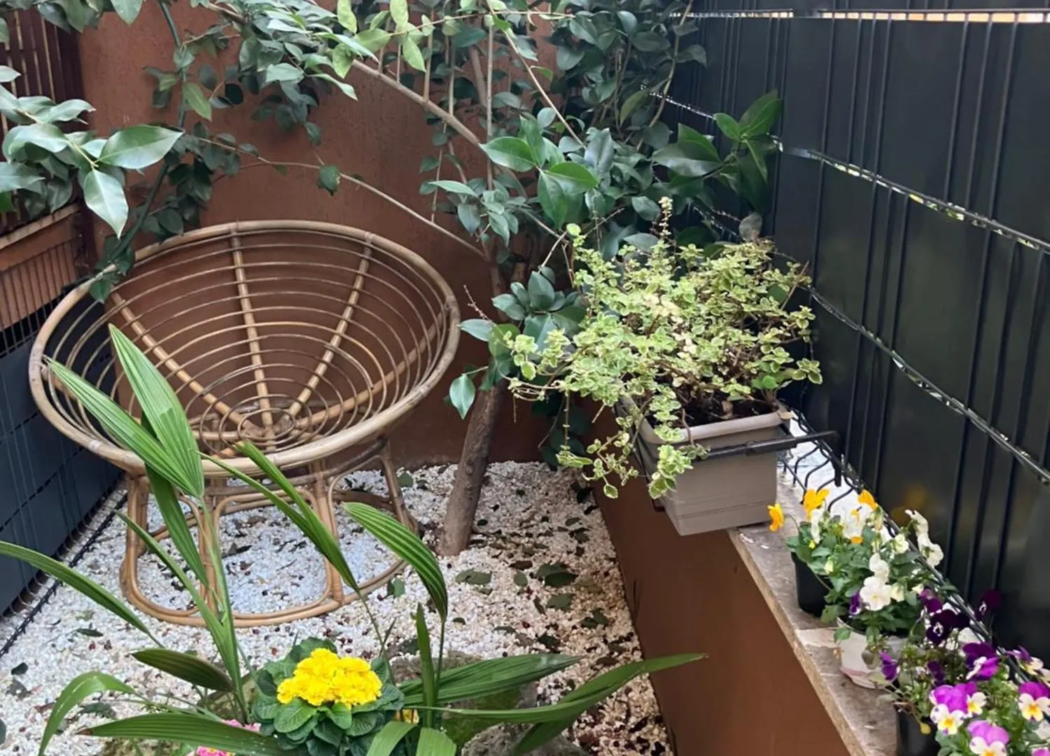 Le Rondini In Giardino Apartment Rome Italy